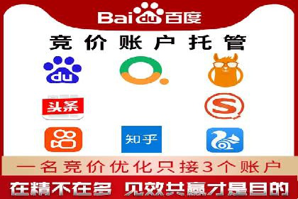 SEM专员案例：数据分析与优化